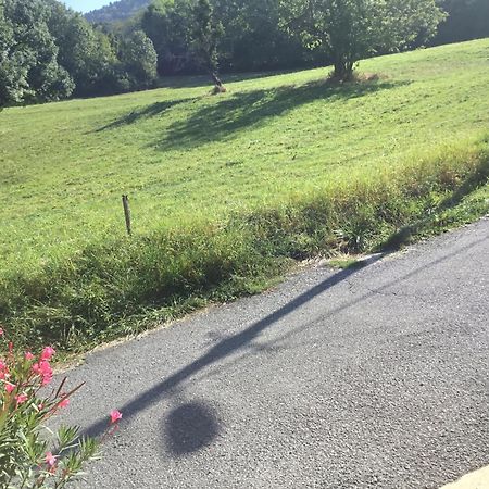 A Cote De Geneve 2 Lejlighed Saint-Cergues Eksteriør billede